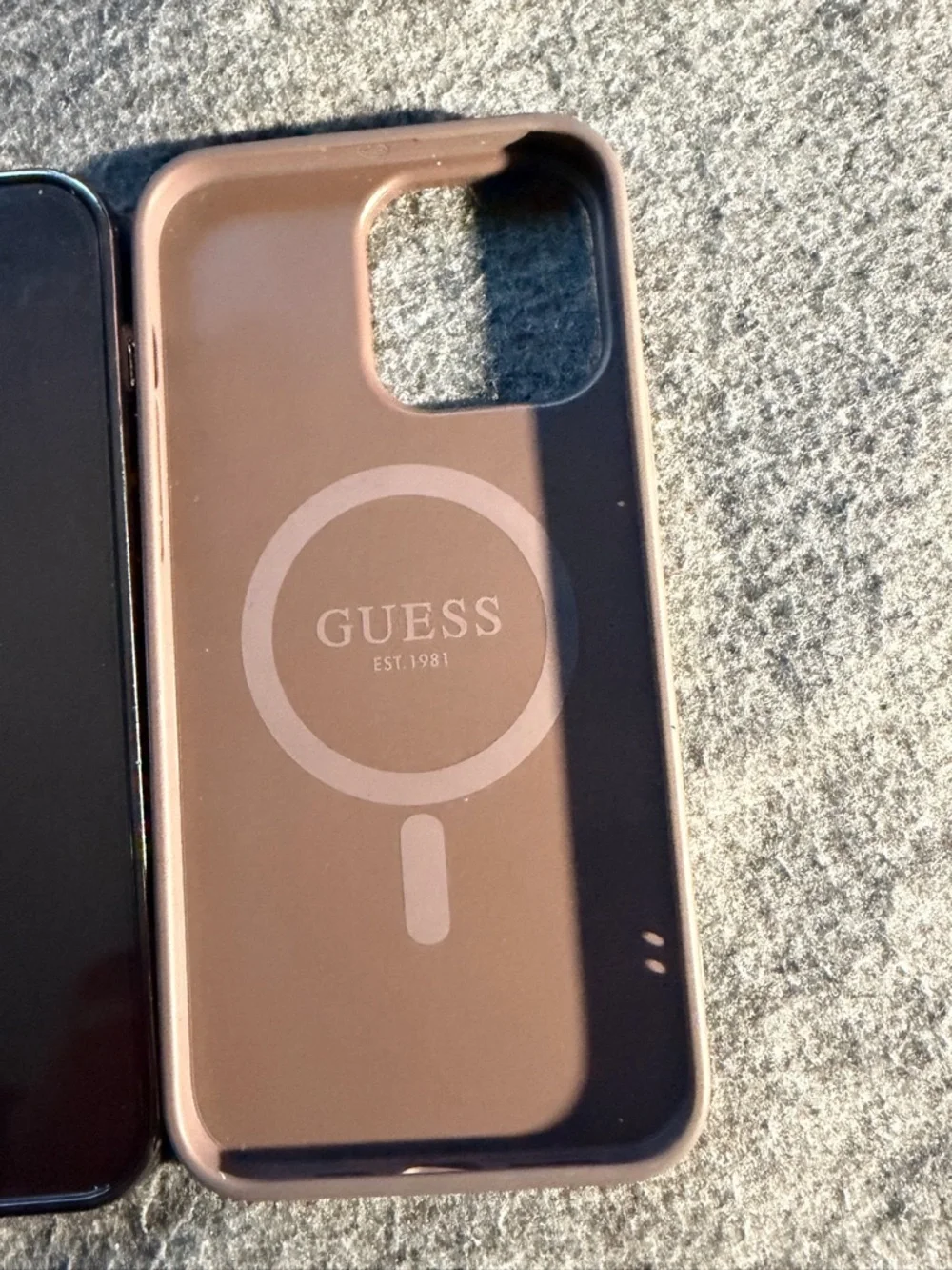 iPhone 12 Pro Max case